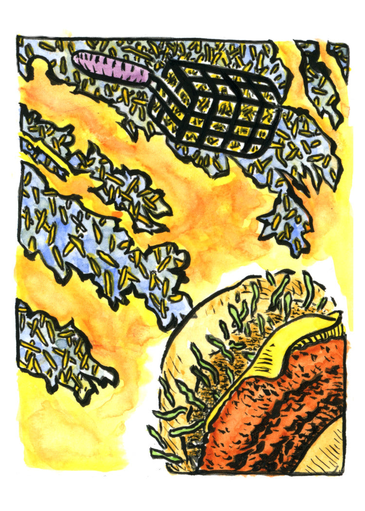 Postcards 5x7