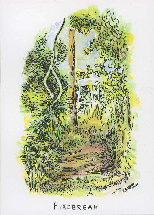 Firebreak|Original Watercolor and Ink Drawing